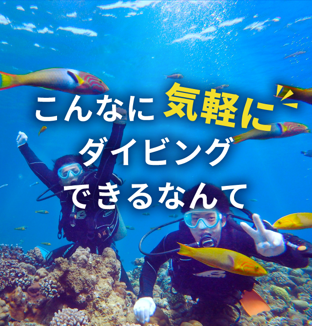 水納島・沖縄本島北部でダイビング＆シュノーケルは《口コミ1位