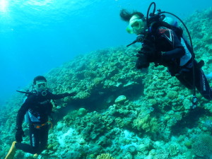 水納島体験ダイビング