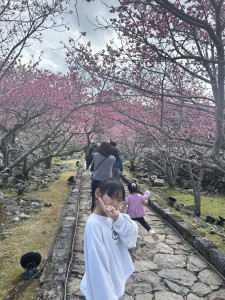 桜まつり