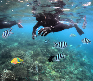 シュノーケリング