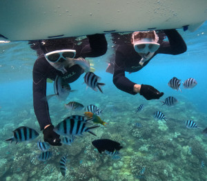 シュノーケリング