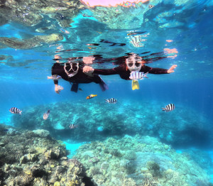 シュノーケリング