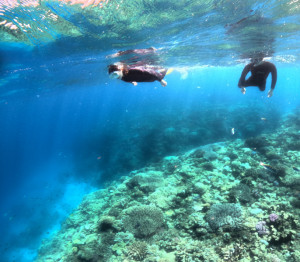 シュノーケリング