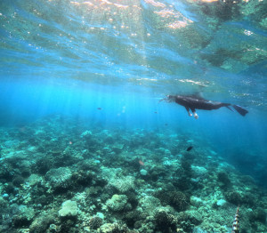 シュノーケリング