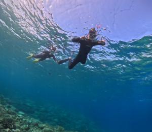 シュノーケリング