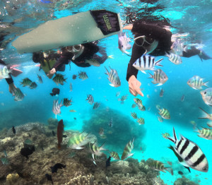 シュノーケリング