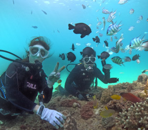 ゴリラチョップ