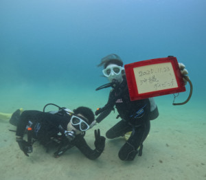 ゴリラチョップ