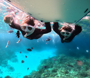 シュノーケリング