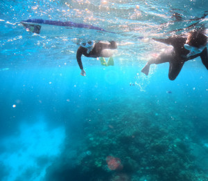 シュノーケリング