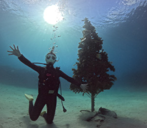 クリスマスツリー